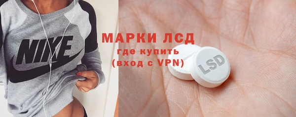 мдпв Бородино