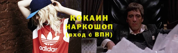 мдпв Бородино