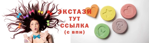 мдпв Бородино