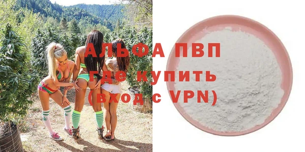 мдпв Бородино