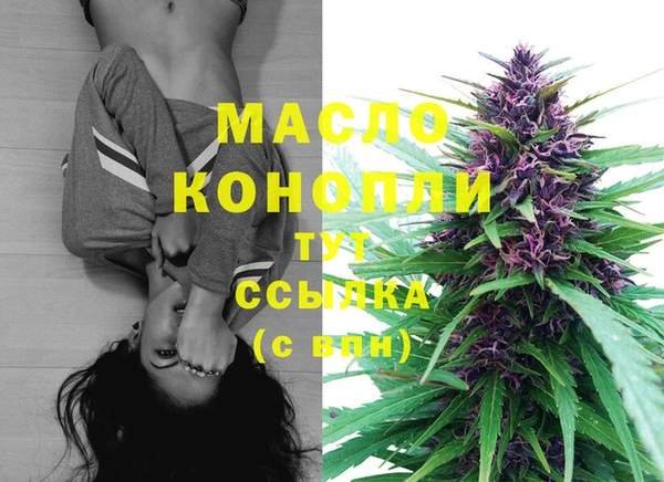 мдпв Бородино