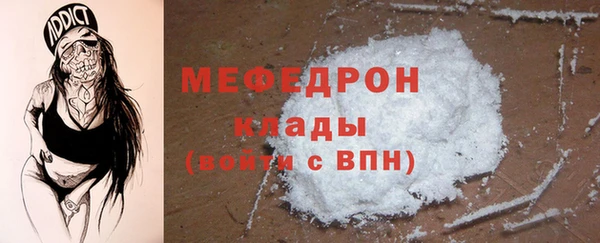 мдпв Бородино