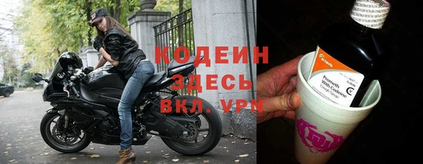 мдпв Бородино