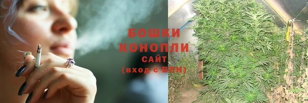 шишки Бугульма